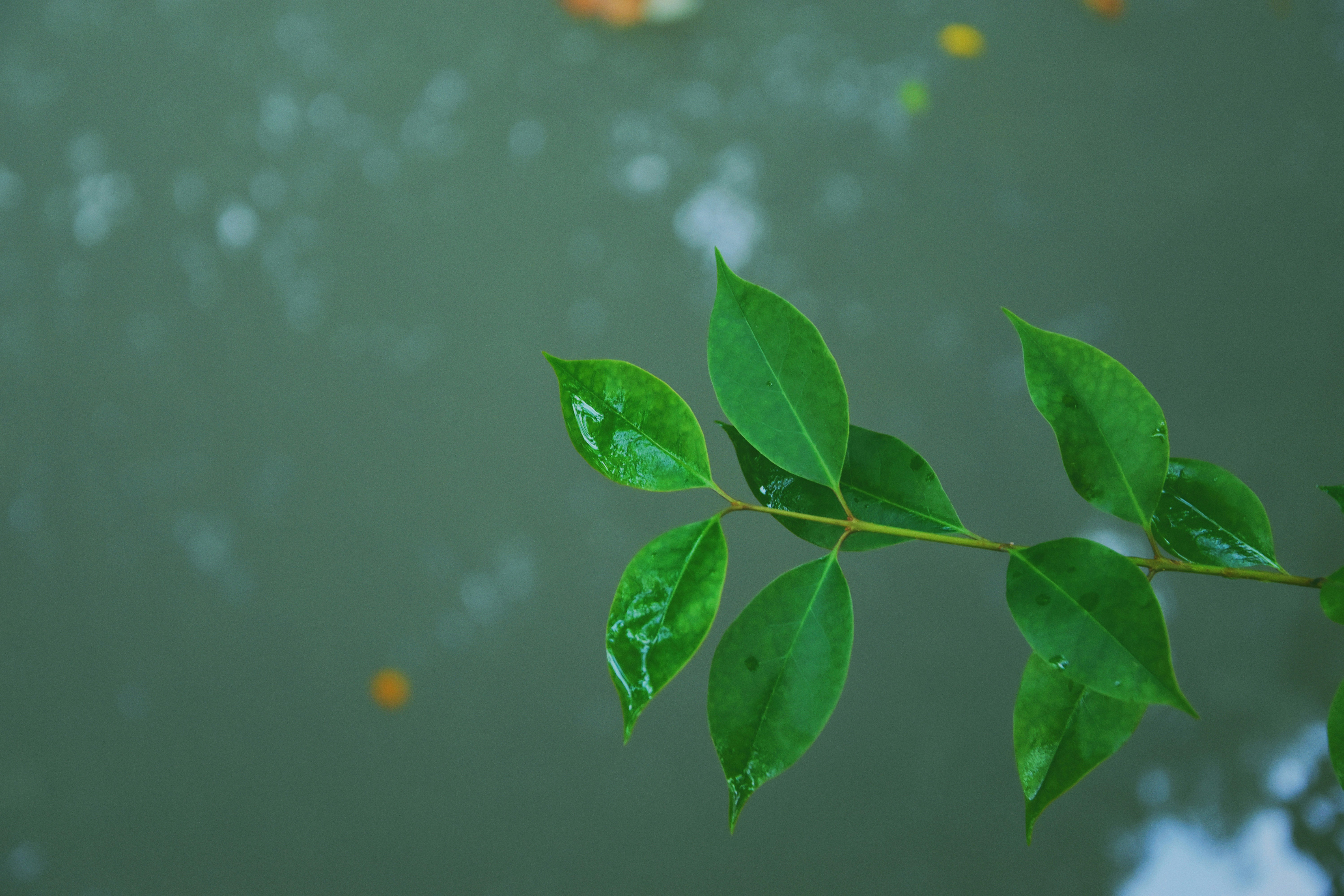 Photo by jizhidexiaohailang