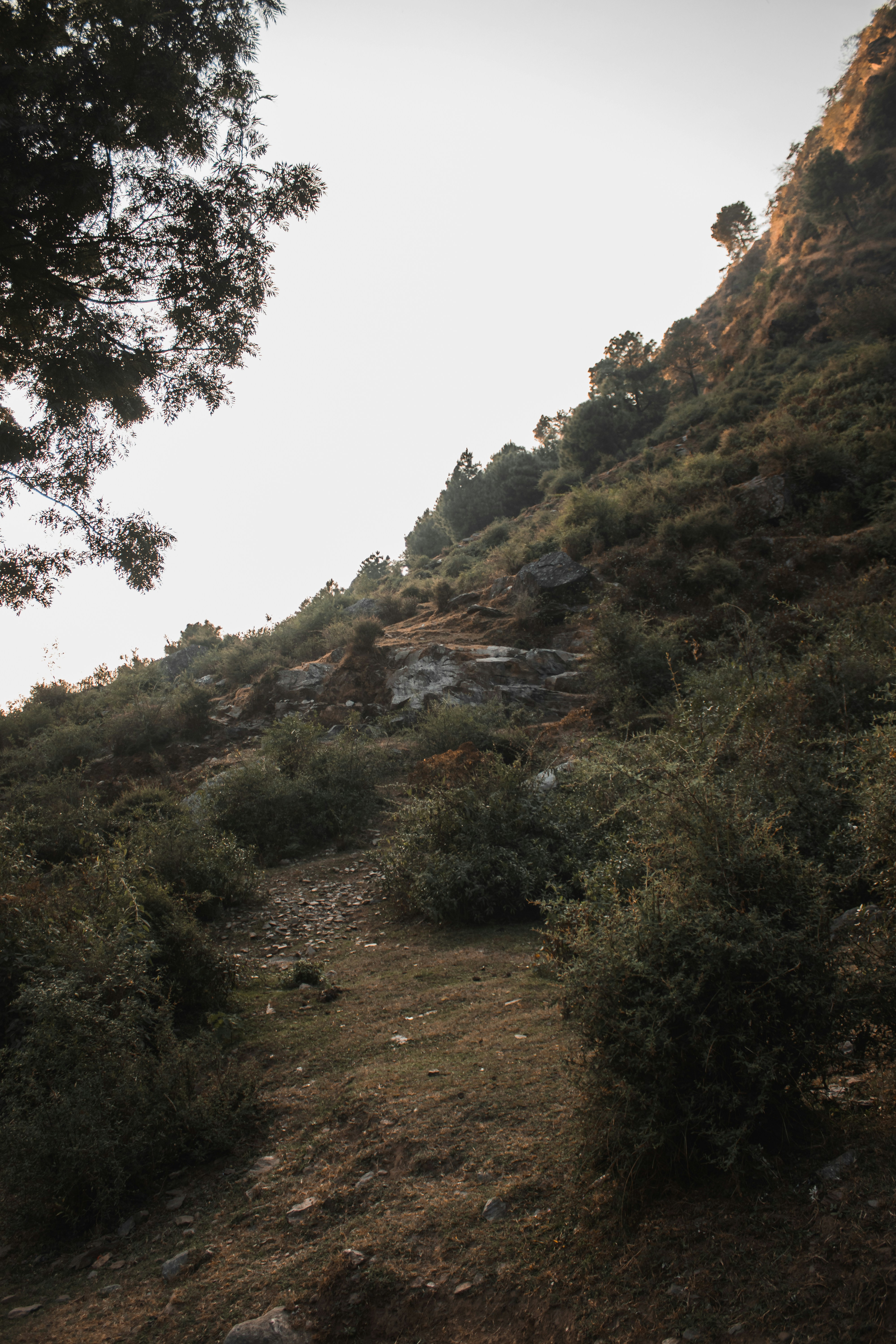 Photo by dollargill