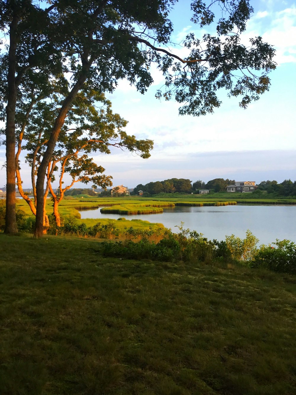 green grass field near lake under blue sky during daytime