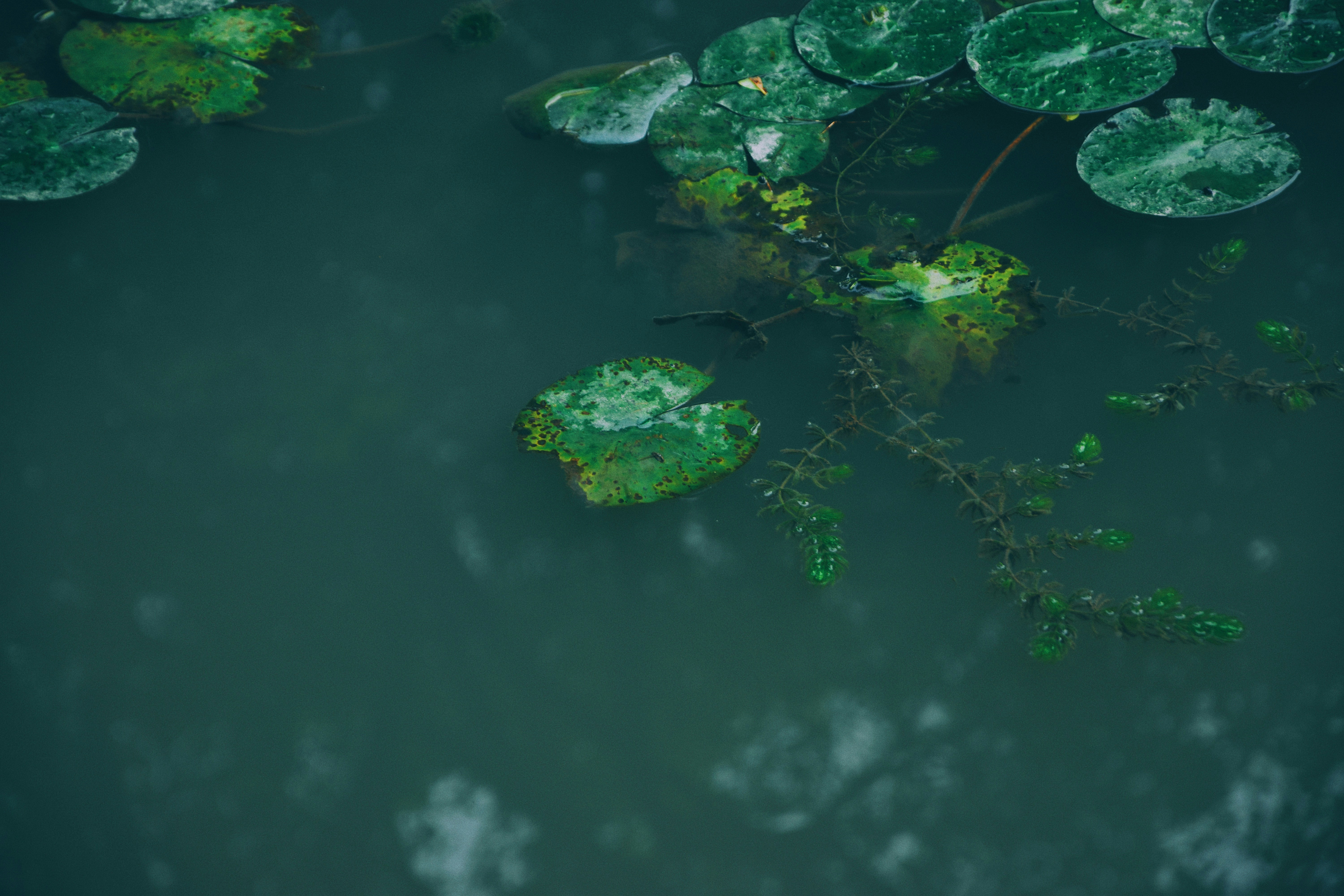 Photo by jizhidexiaohailang