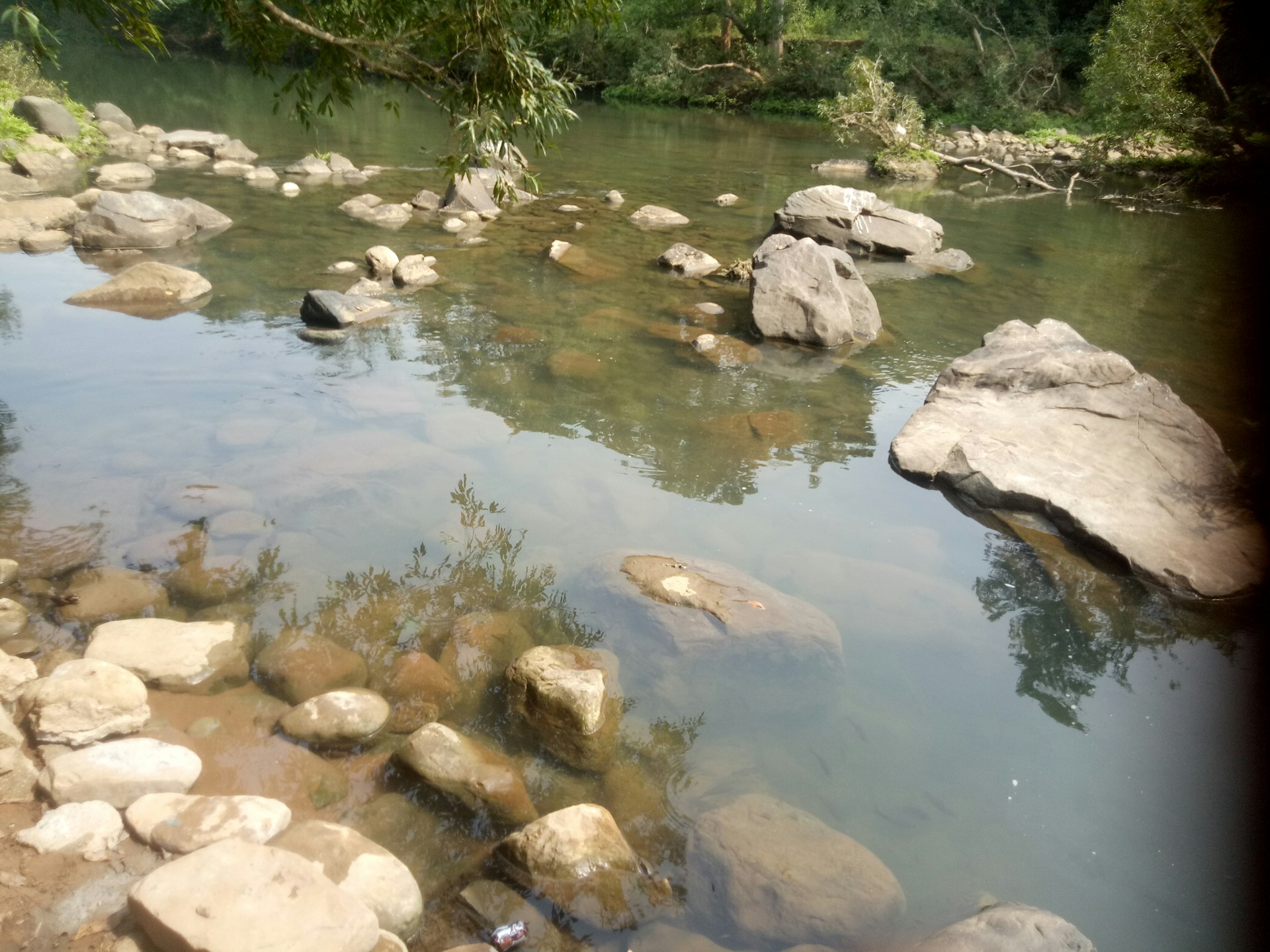 gray computer monitor