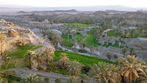 A panoramic view of a lush oasis landscape featuring green fields interspersed with numerous palm trees. The surrounding arid mountains provide a stark contrast to the vibrant greenery below, highlighting the fertility of the area. A winding road cuts through the scene, adding a sense of depth and leading the eye through the oasis. The lighting suggests a time of day close to sunset, casting warm tones across the landscape.