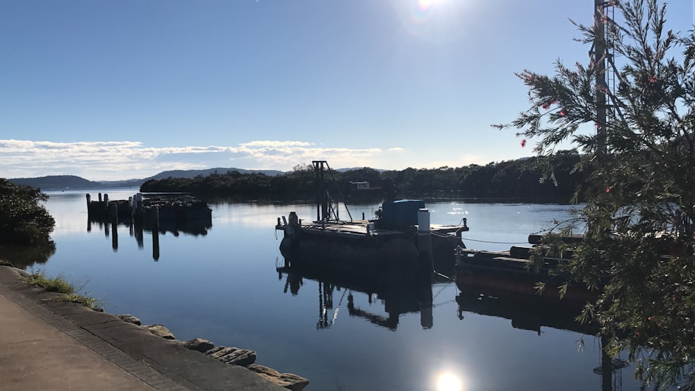 silhouette of people riding on horse on lake during daytime