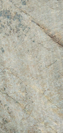Close-up of a natural stone tile with intricate veining and rich earth tones.