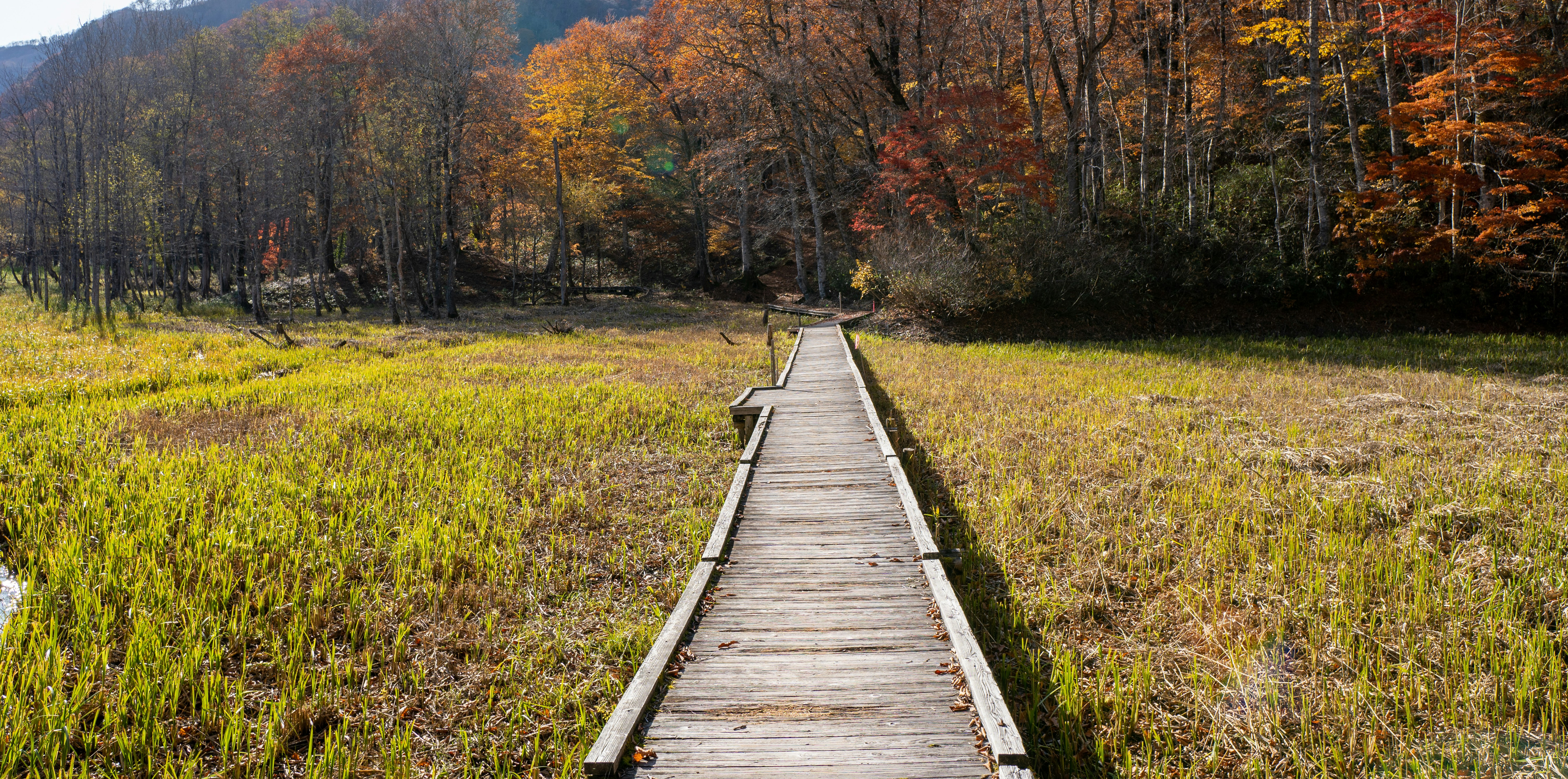 The Silent Struggle: Unpacking the Challenges of Communicating Cybersecurity Progress