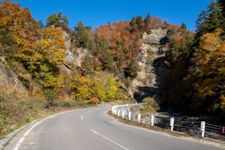 A winding road through vibrant autumn foliage in a mountainous landscape.