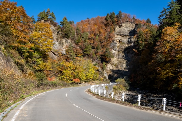 A winding road through vibrant autumn foliage in a mountainous landscape.