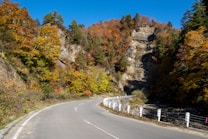 A winding road curves through a mountainous area adorned with vibrant autumn foliage. The trees on either side display a palette of yellow, orange, and red, contrasting with the rocky cliffs and clear blue sky. White barriers line the edge of the road.