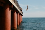 A person is diving off a pier into the blue ocean while wearing swim trunks. The pier is supported by large, rust-colored pillars. Several onlookers are standing on the pier, watching the diver. The water reflects the clear sky above.