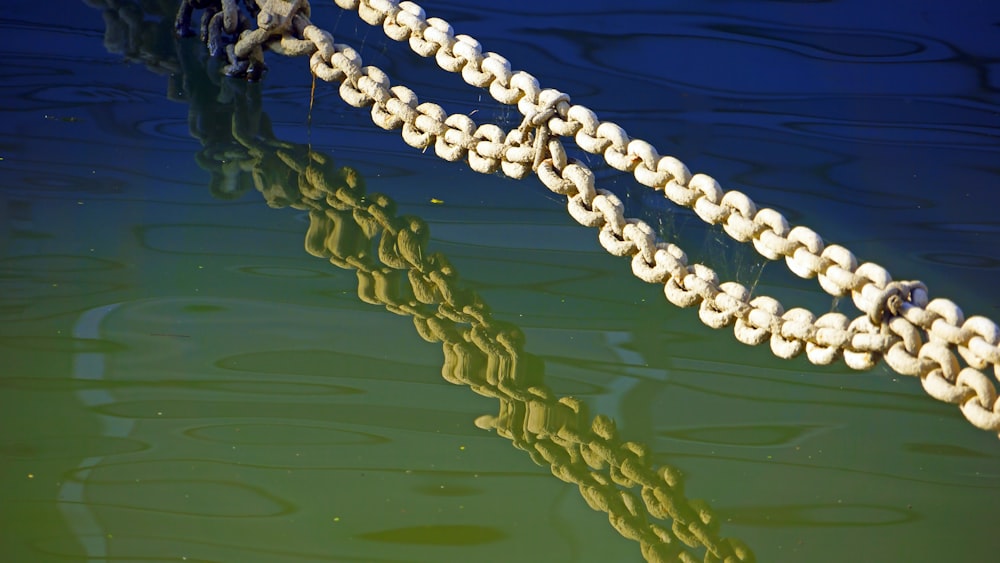 silver chain link necklace on green water