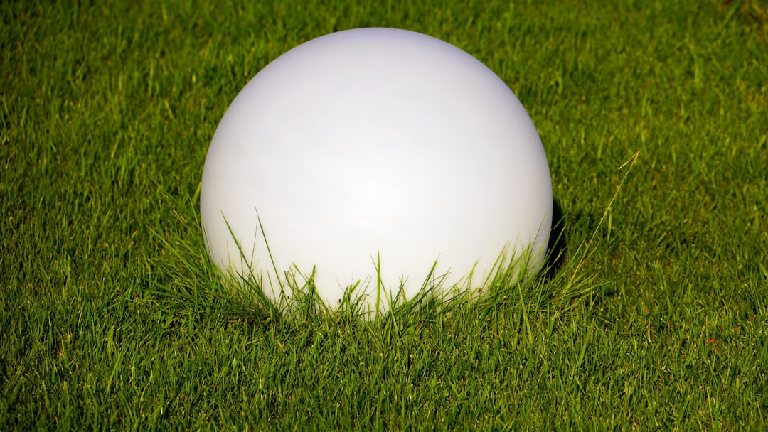 white ball on green grass