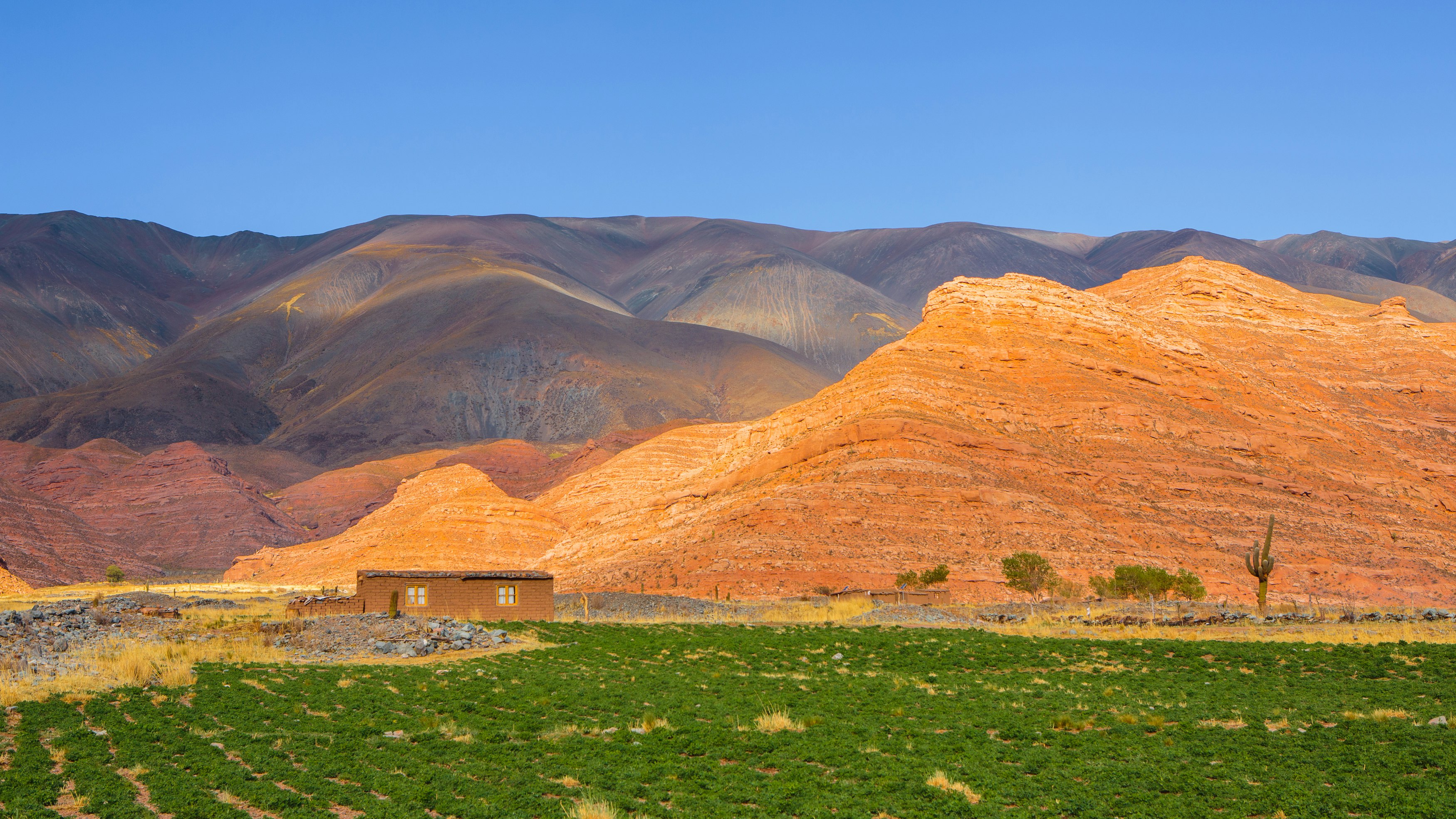 Landscape with colorful mountains in the upper Calchaqui valley in northern Argentina