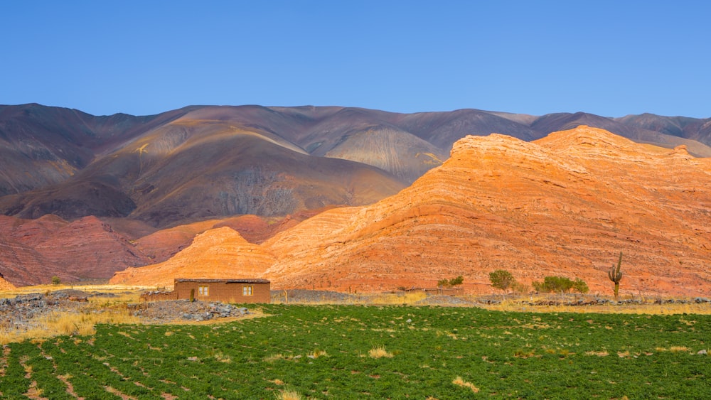 Casa marrón y blanca en campo de hierba verde cerca de la montaña marrón bajo el cielo azul durante el día