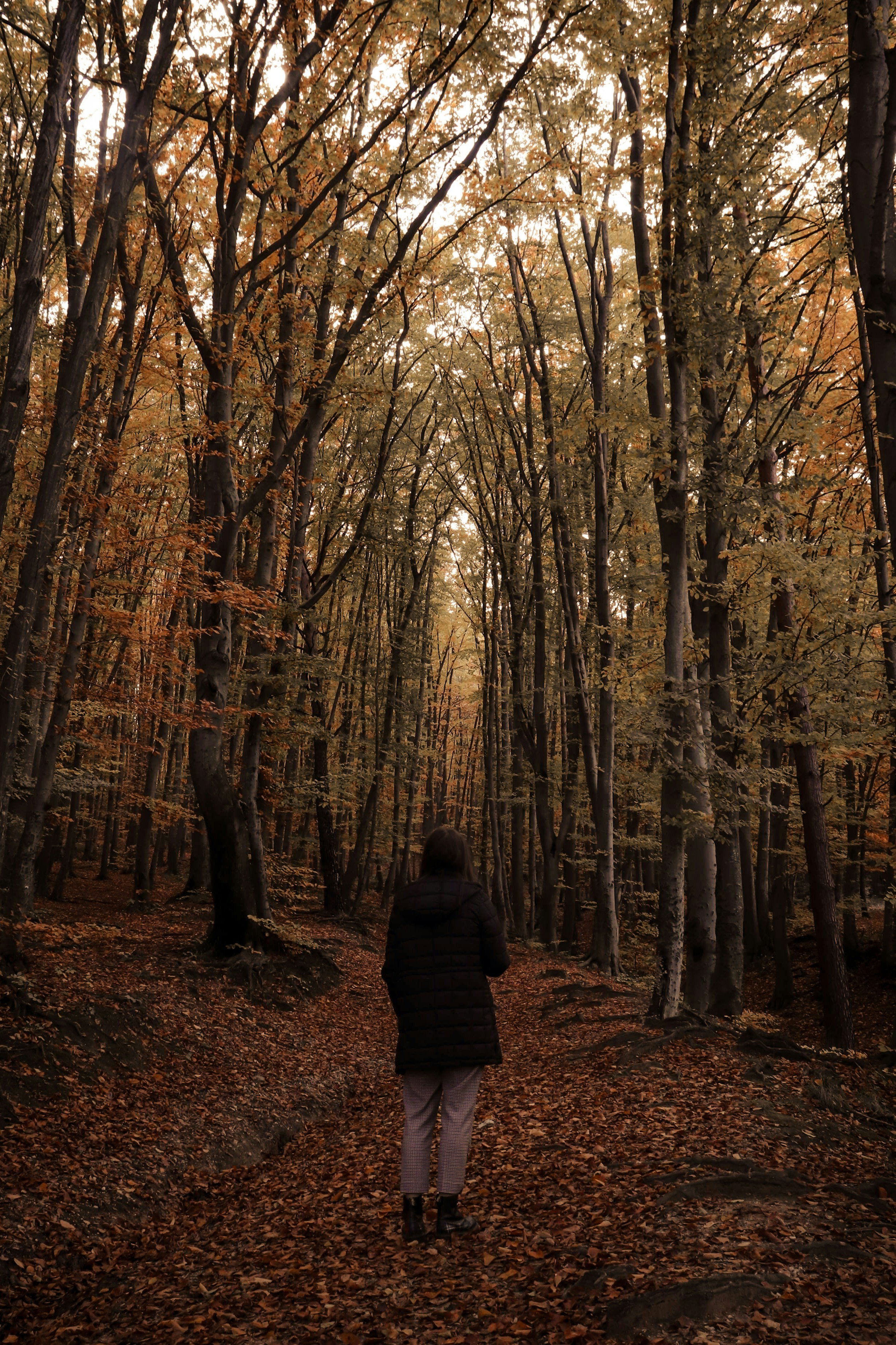 Photo by crinaparasca