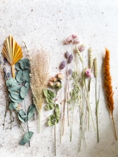 green and brown plant on white sand