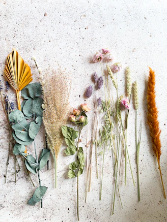 green and brown plant on white sand