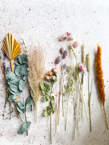 green and brown plant on white sand