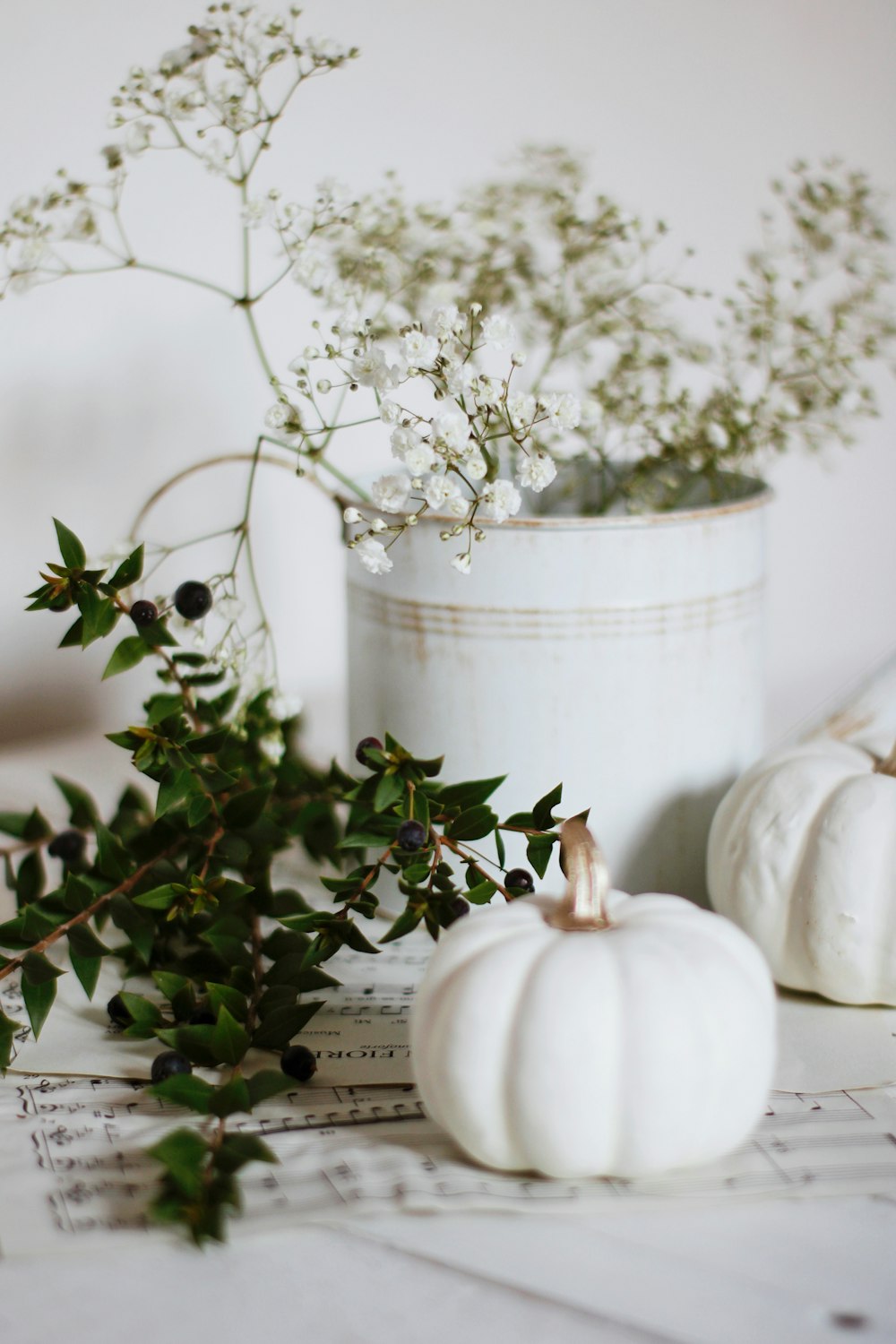 white ceramic pot with green plant