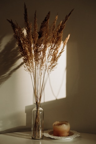 brown plant in clear glass vase