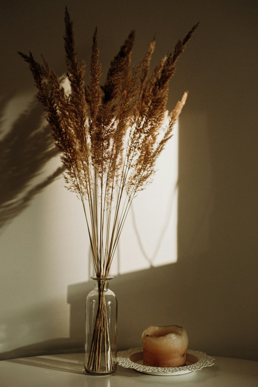 透明なガラスの花瓶に描かれた茶色の植物