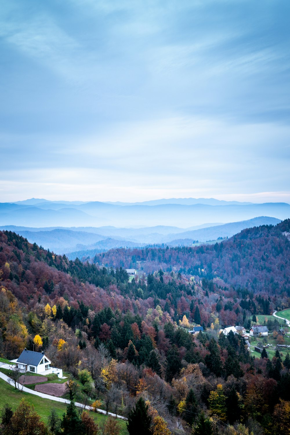 green trees on mountain under white clouds during daytime