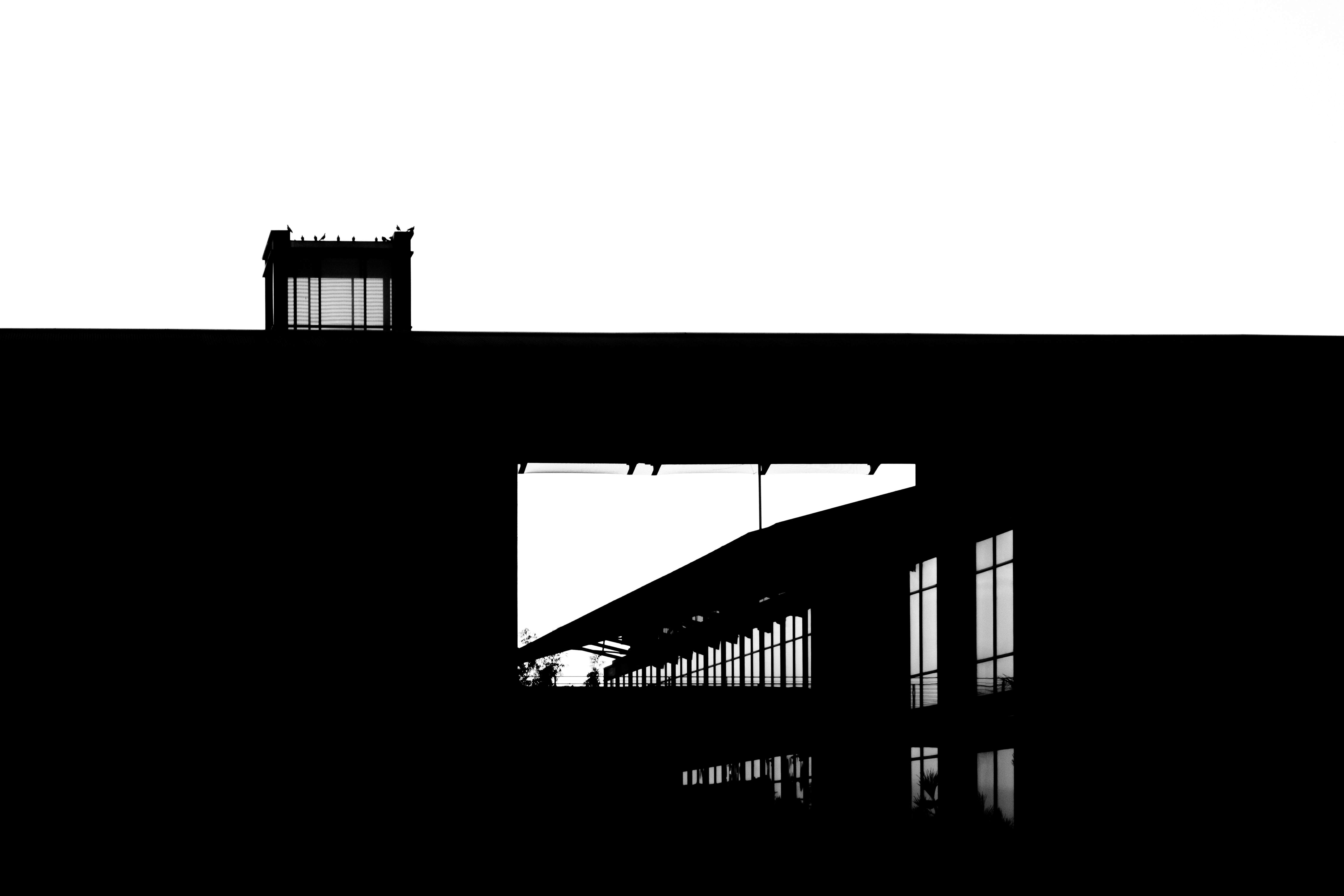 Photo by parsoakhorsand