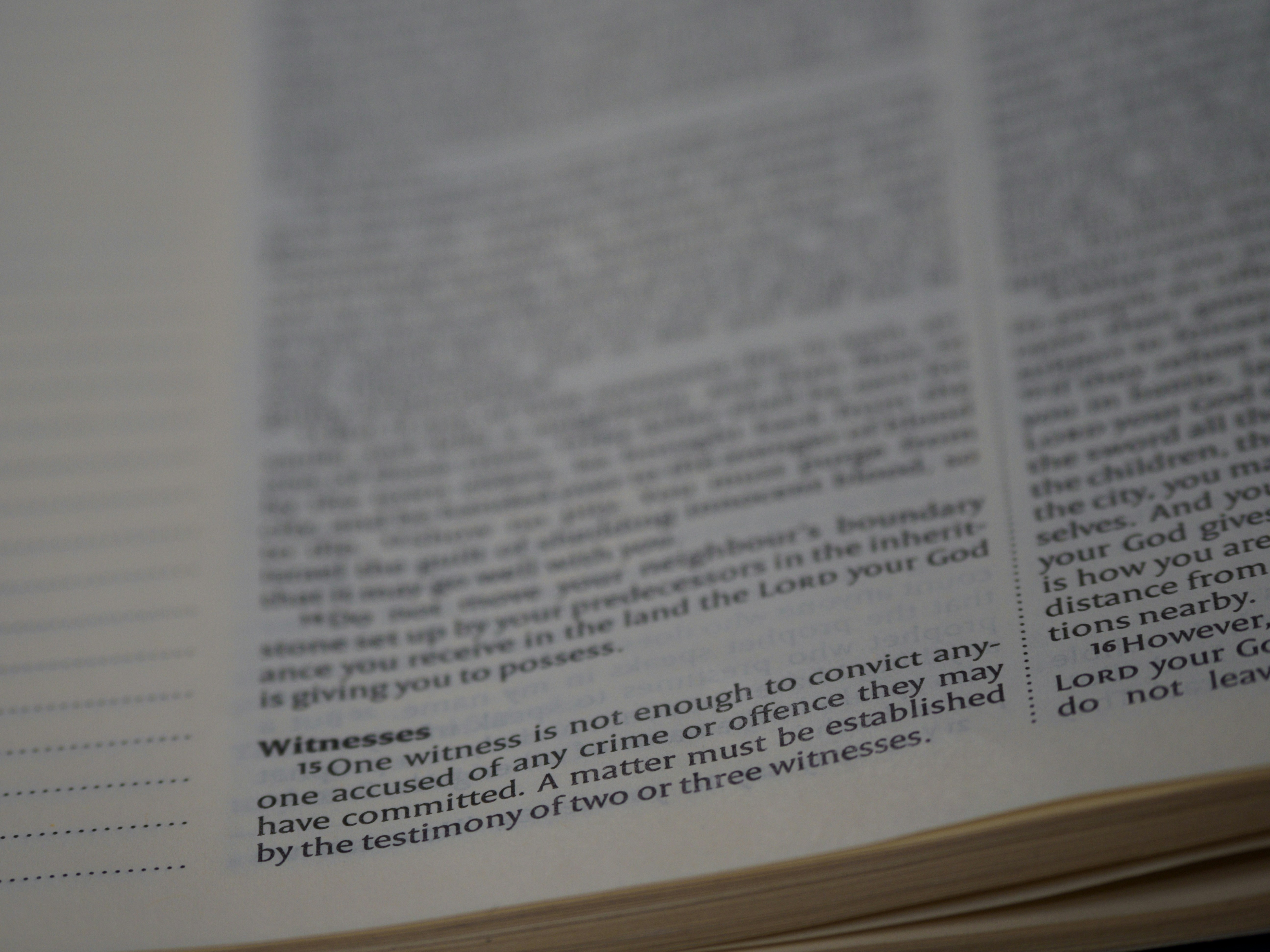 Photo by brett_jordan