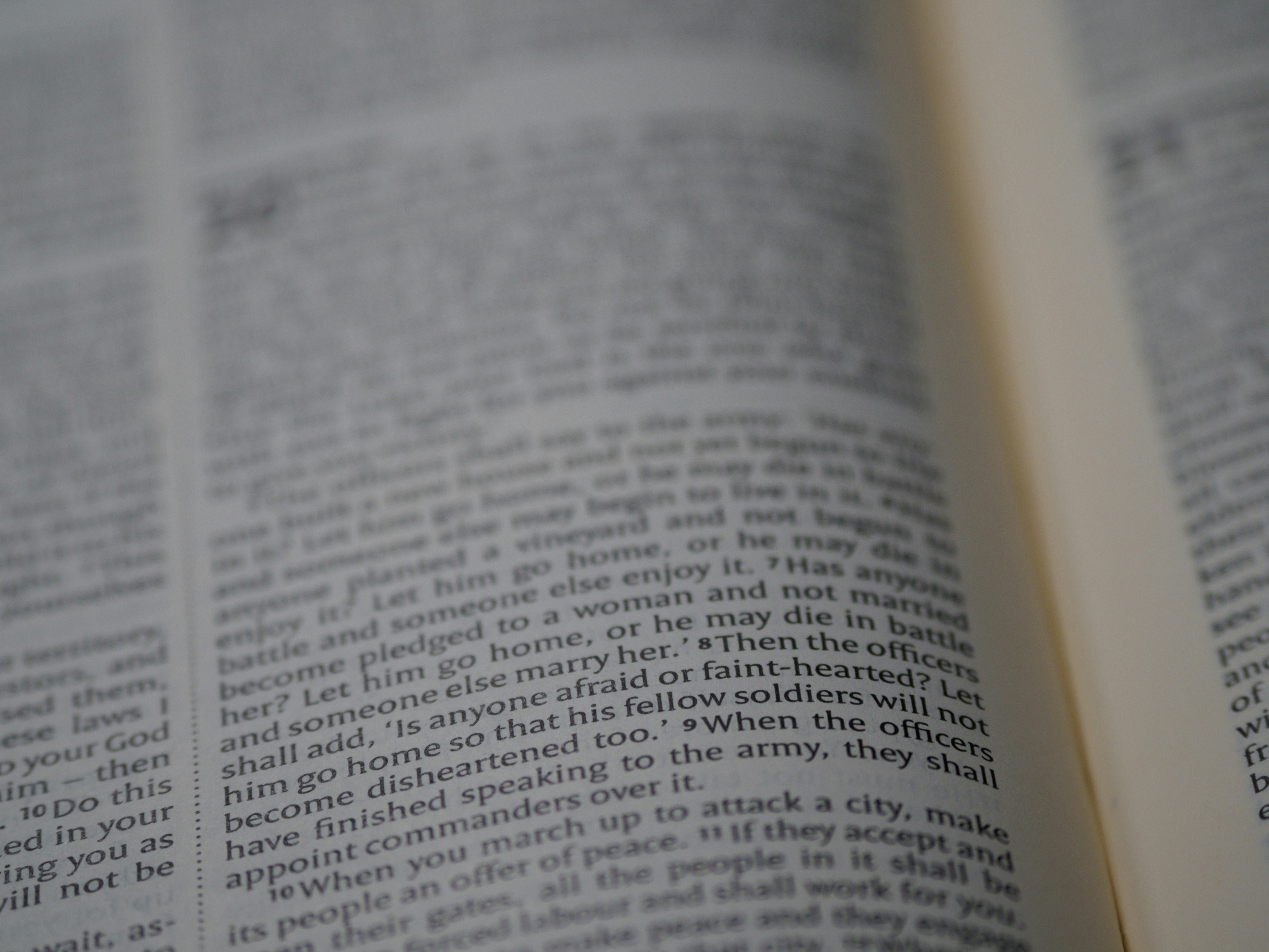 Photo by brett_jordan