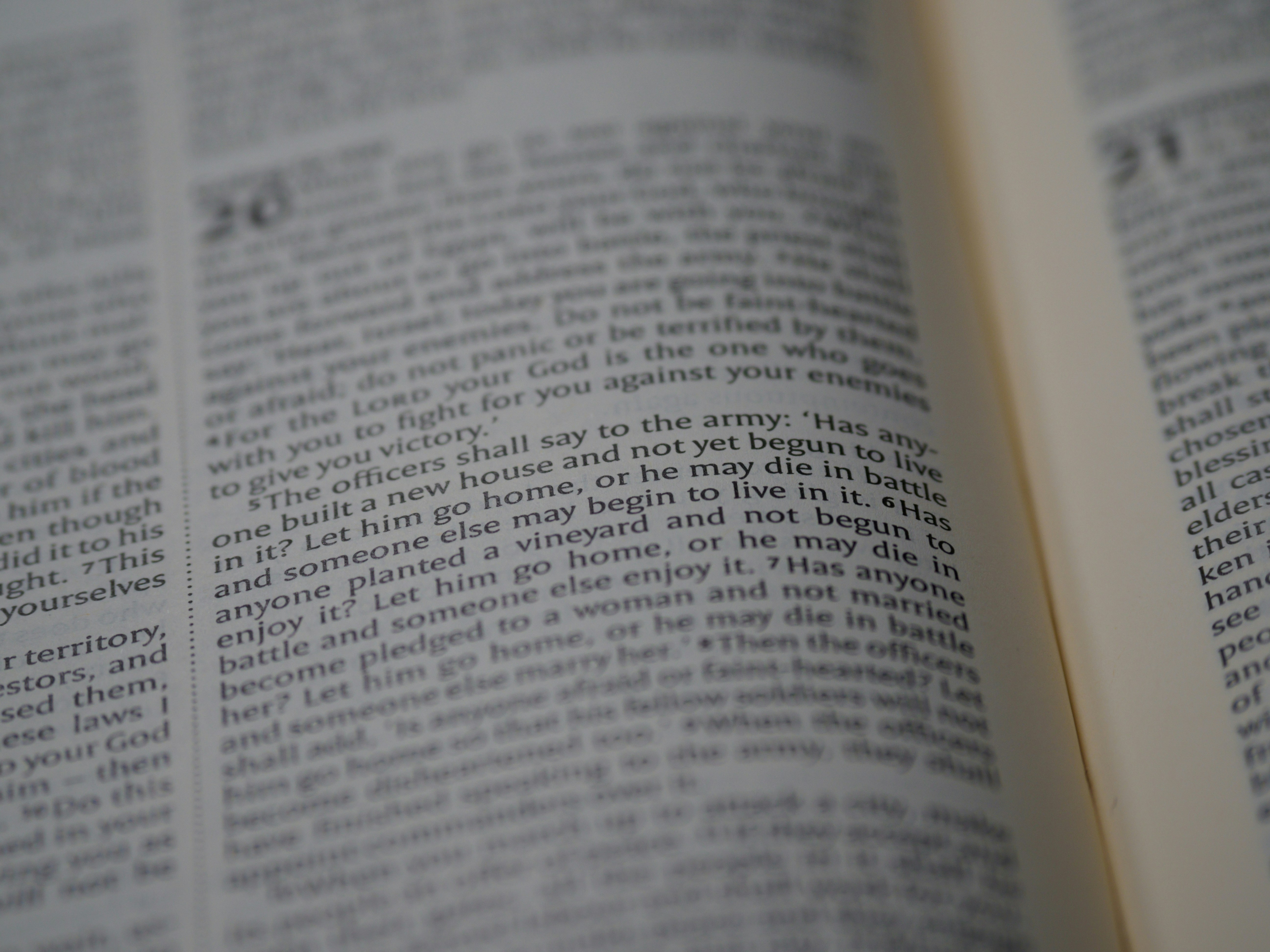 Photo by brett_jordan