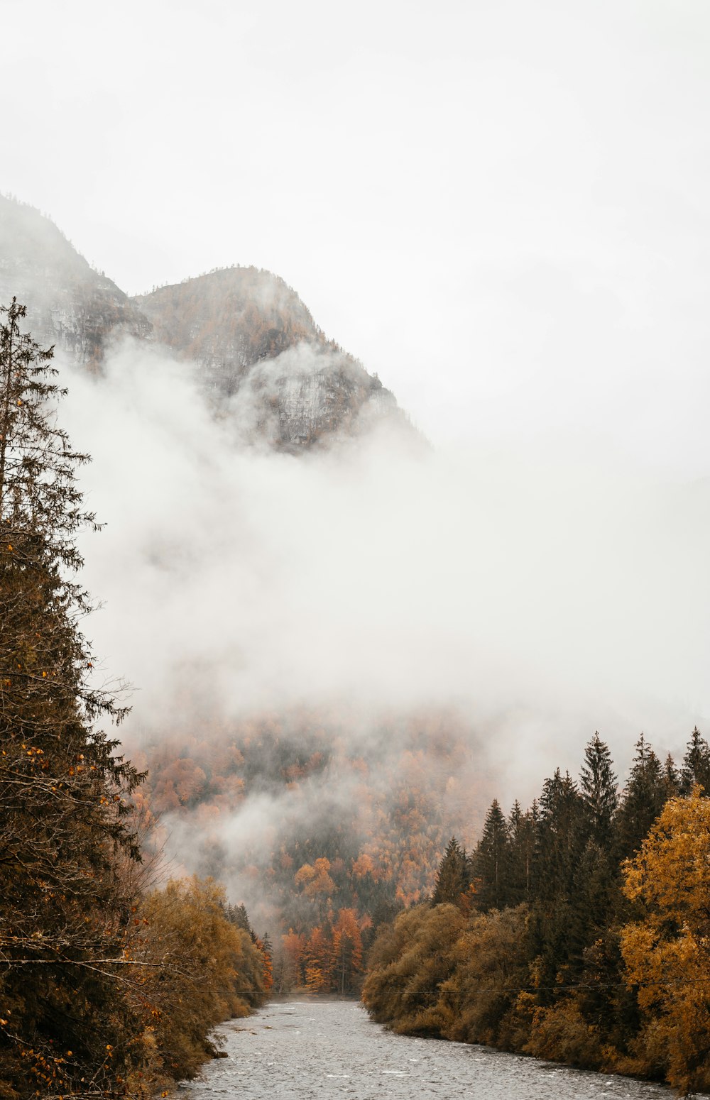 green and brown trees near mountain during daytime