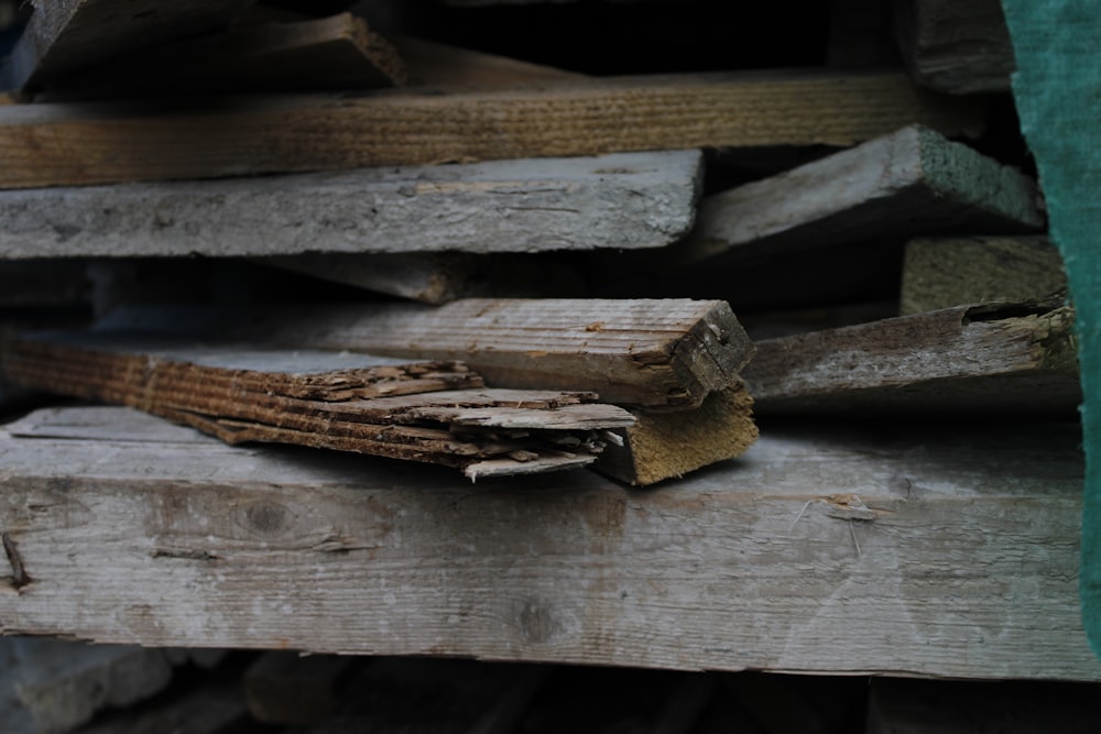 brown wooden log on brown wooden surface