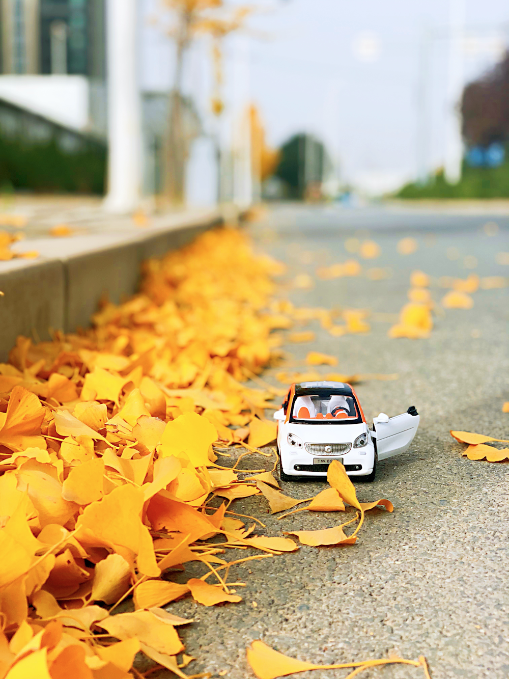 white and black car on road with dried leaves during daytime