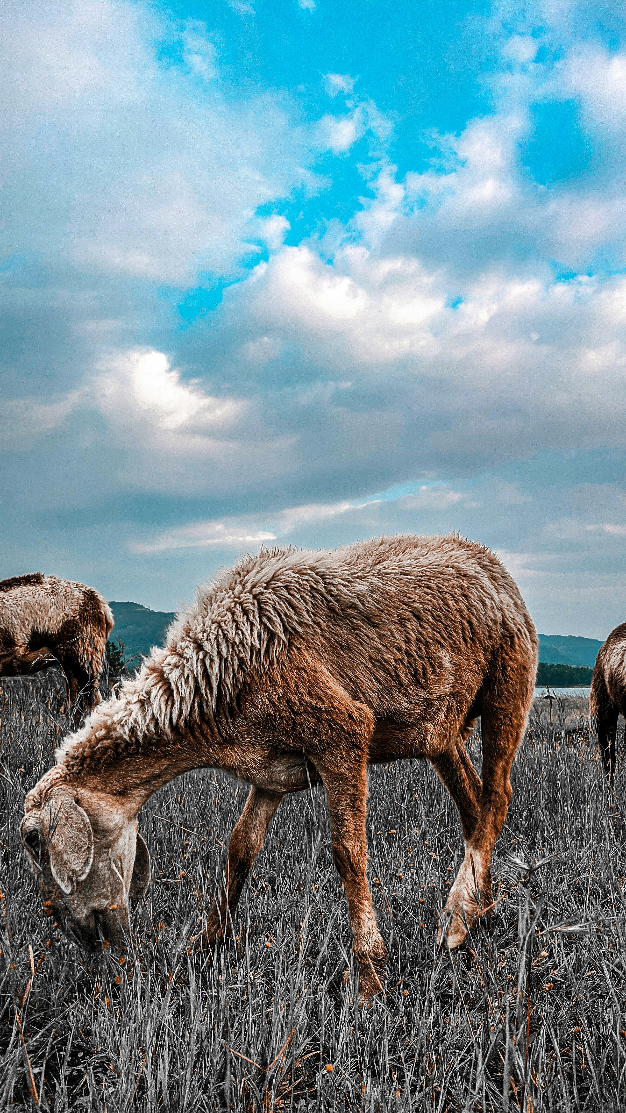 Photo by brianashley_