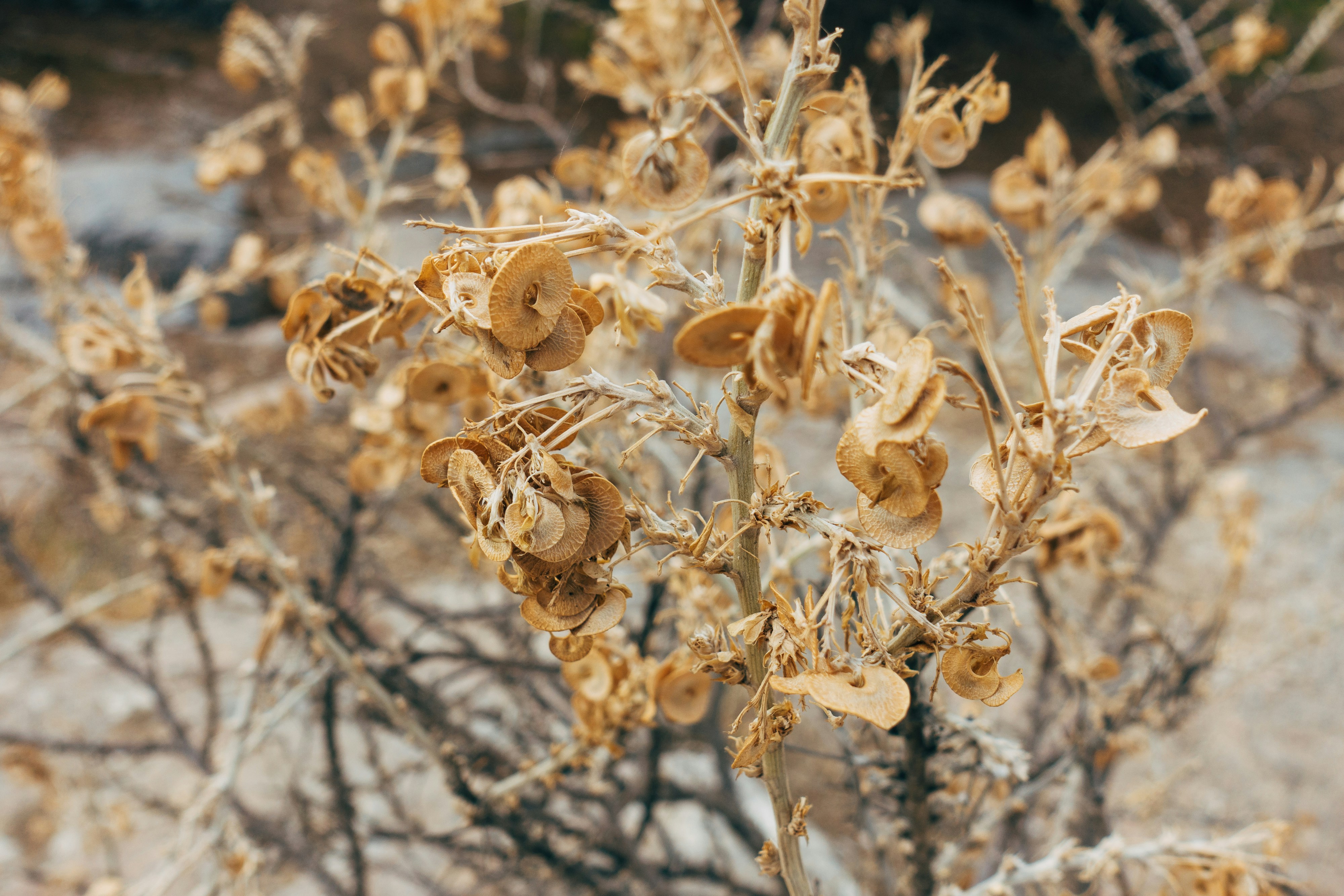 Photo by markuswinkler