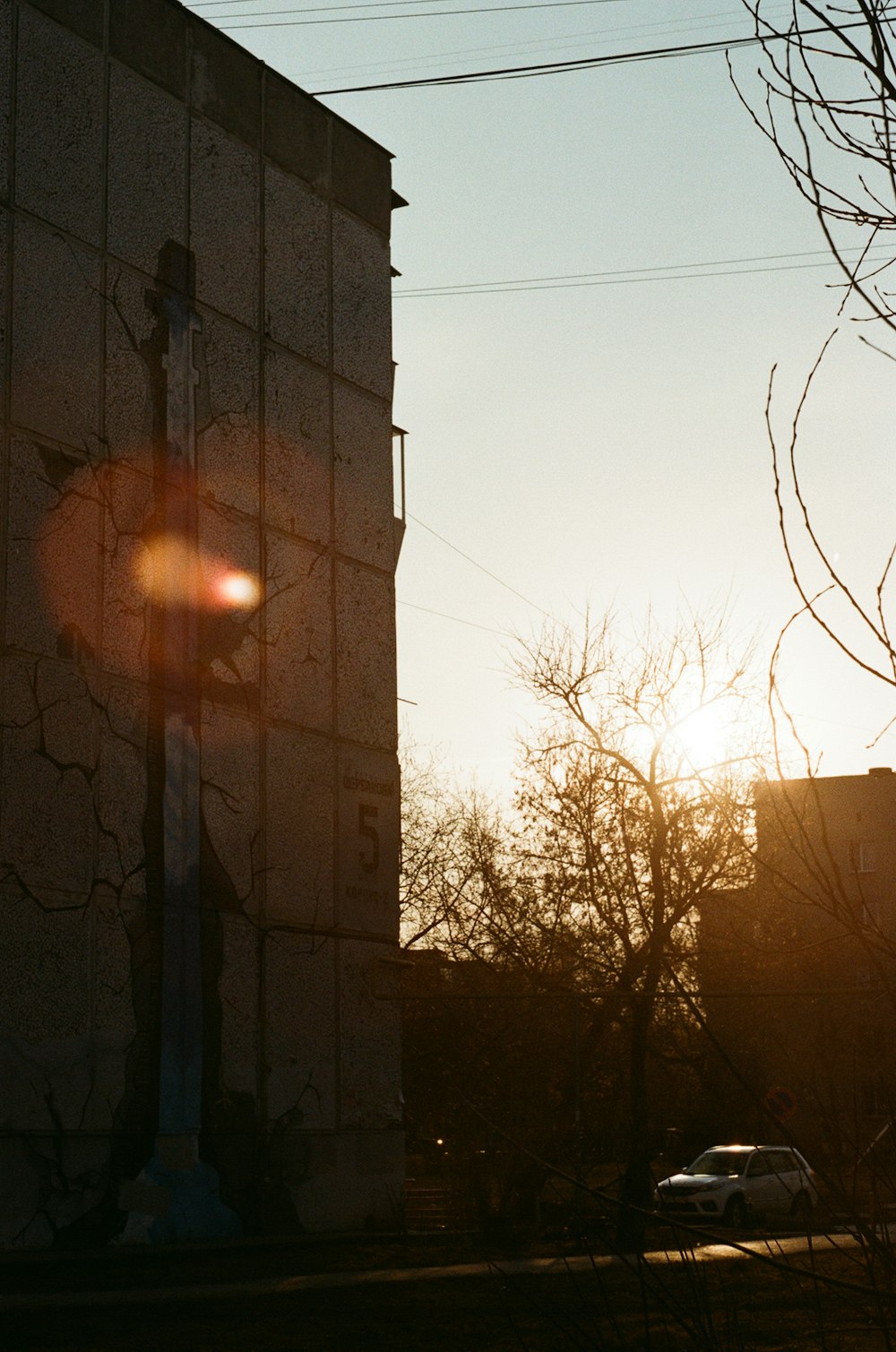 bare trees near brown concrete building during daytime