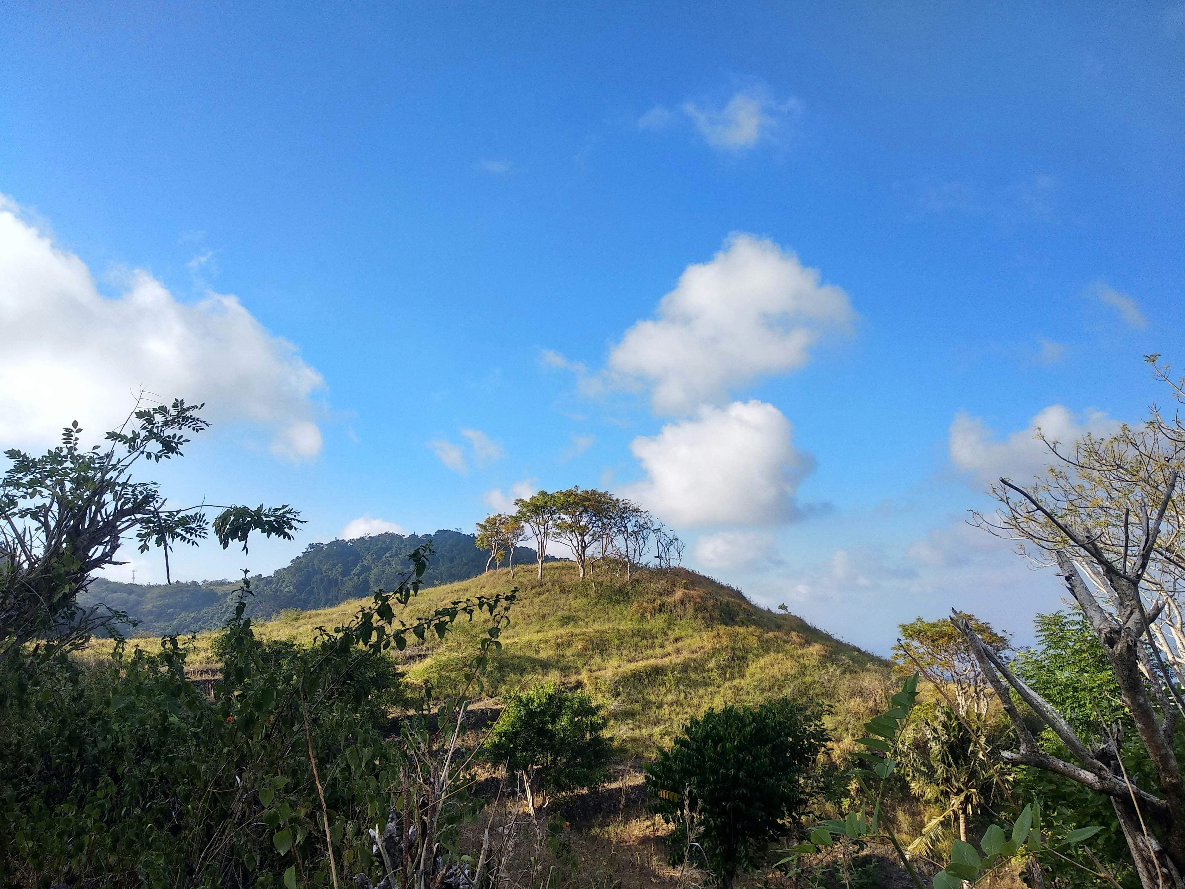 Photo by ivyaralianizar