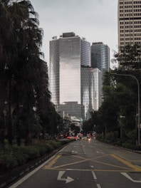cars on road near high rise buildings during daytime