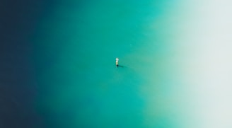 white boat on blue water