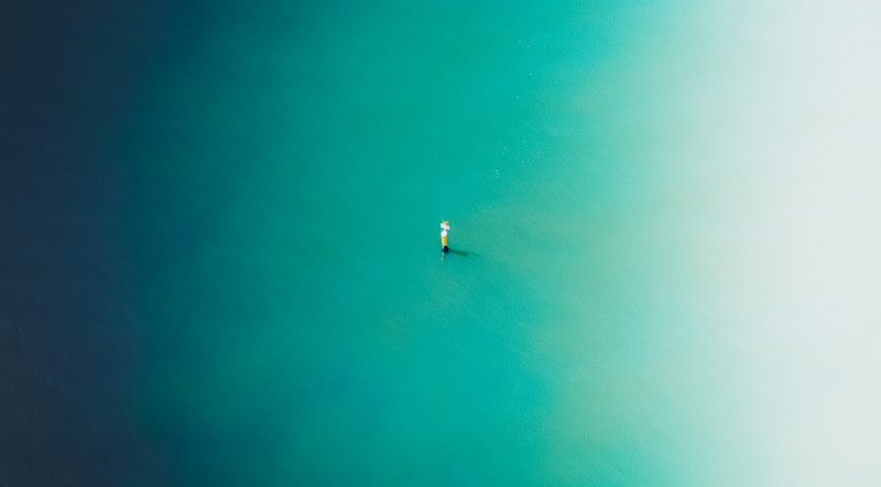Image by Pat Whelen