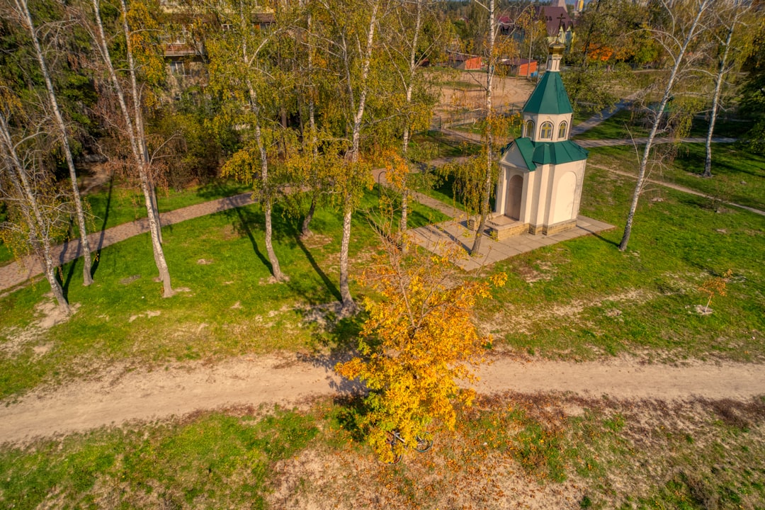 green and white wooden house surrounded by trees during daytime