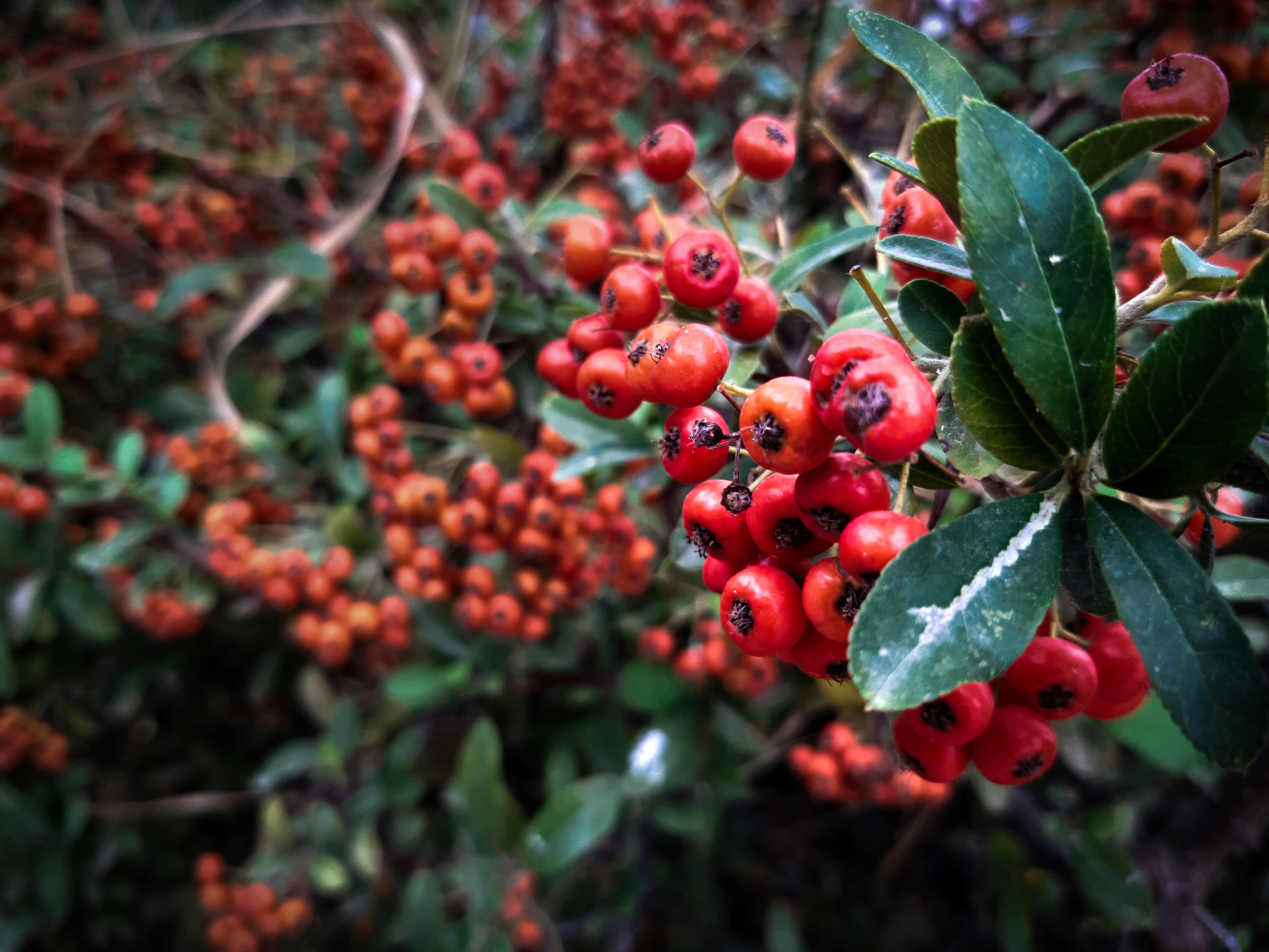 Photo by alexandros_ath