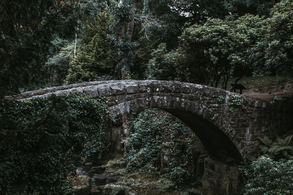 gray concrete bridge over river