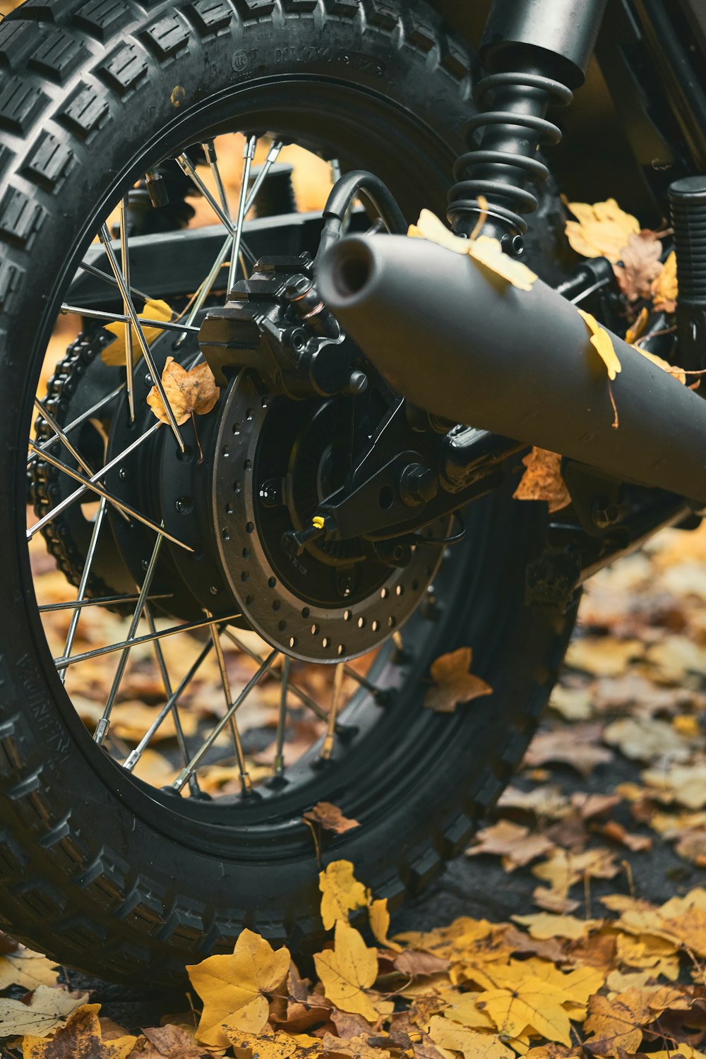 black and silver bicycle wheel