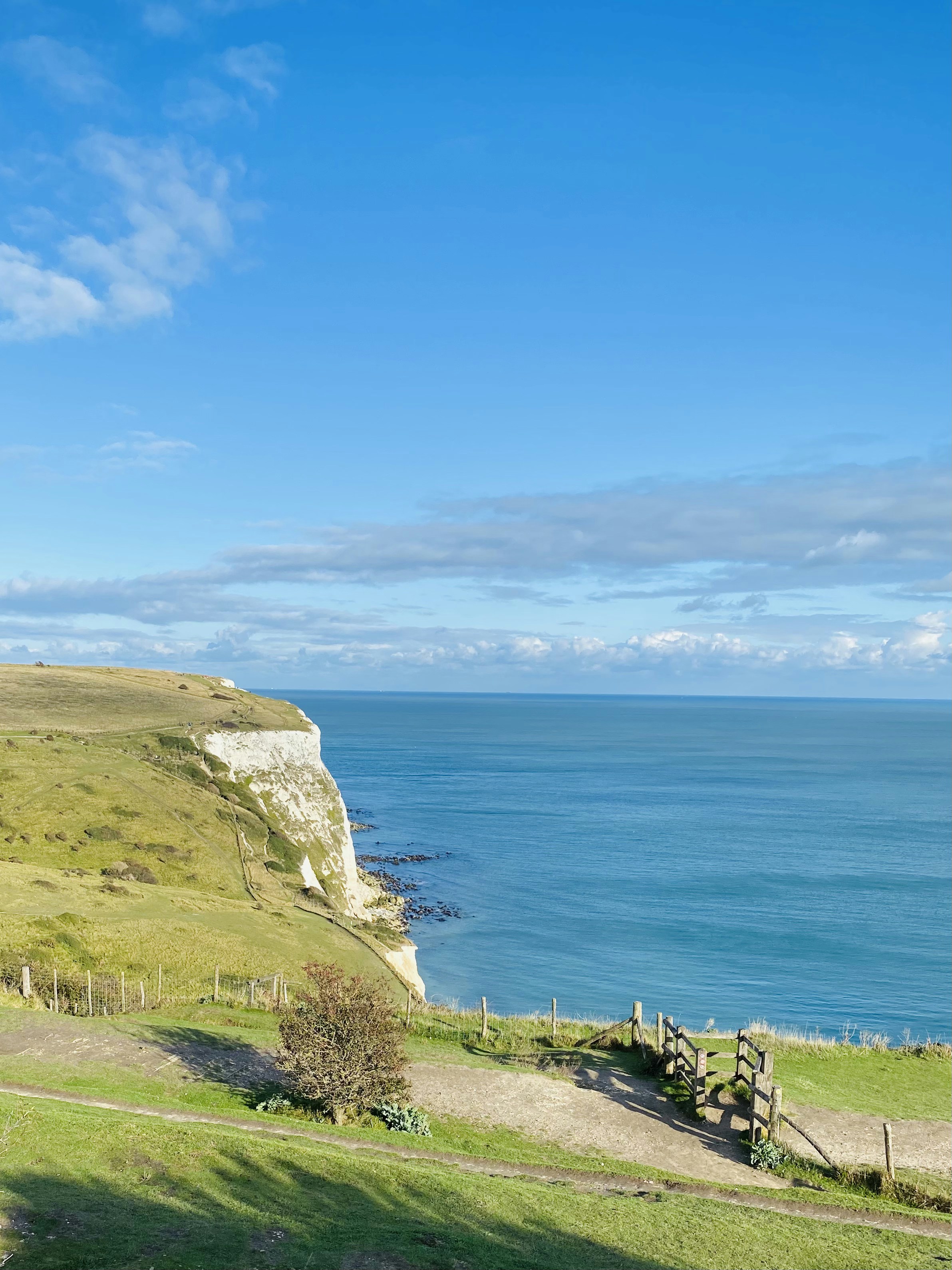 green grass on brown rock formation near body of water during daytime
