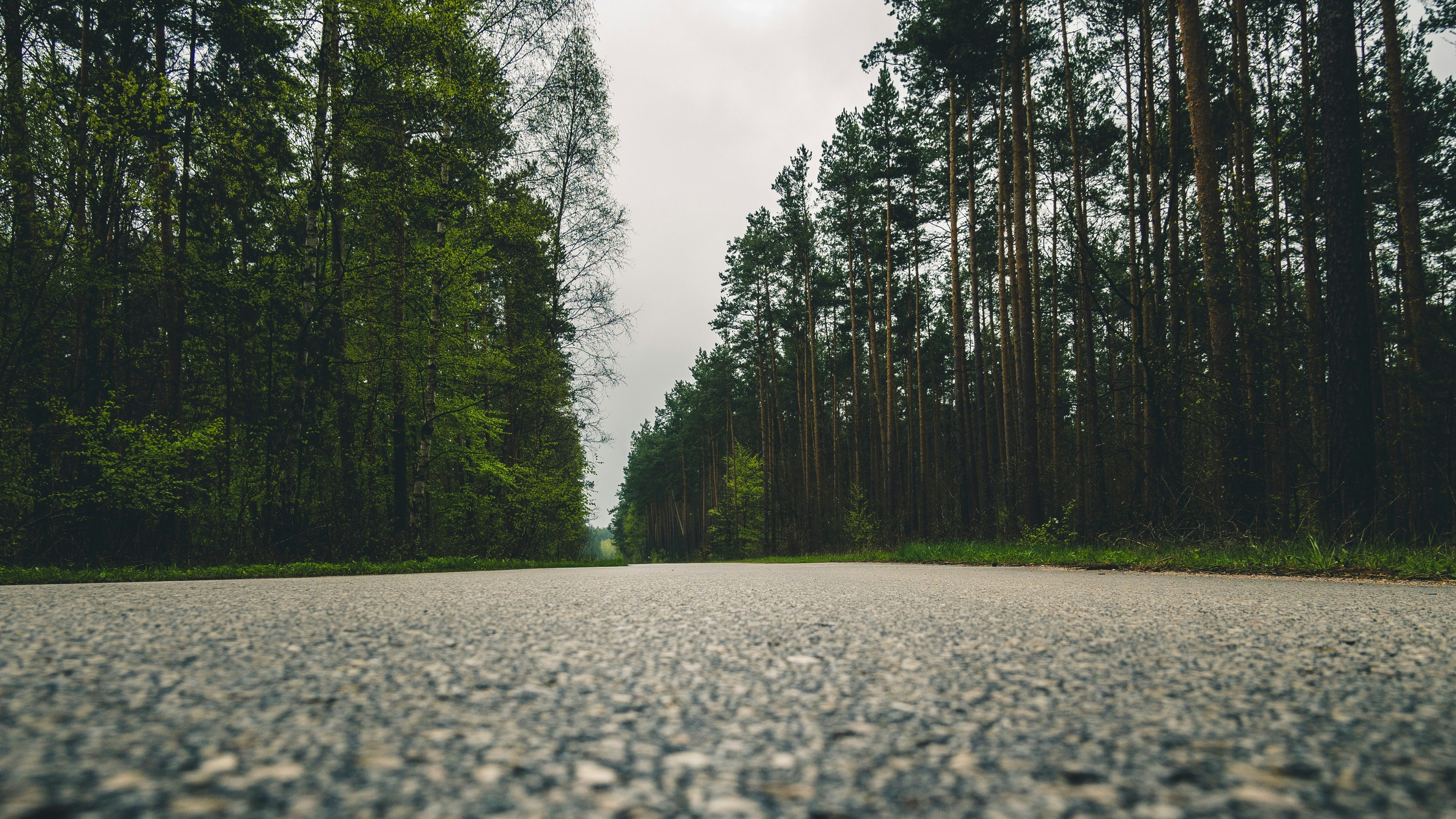 Photo by patarchimz_4762854_sink