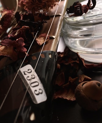 A close-up view of a guitar with metal strings, dry roses, a glass jar, a black film strip with the number 2303, and an acorn cap. The composition is artistic, combining elements of music, nature, and vintage film.