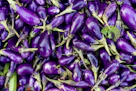purple and green flower buds