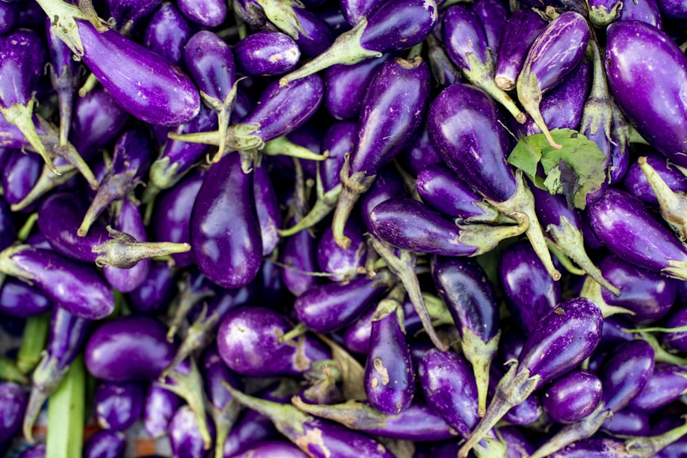 purple and green flower buds