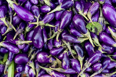 Boulanger (Eggplant)