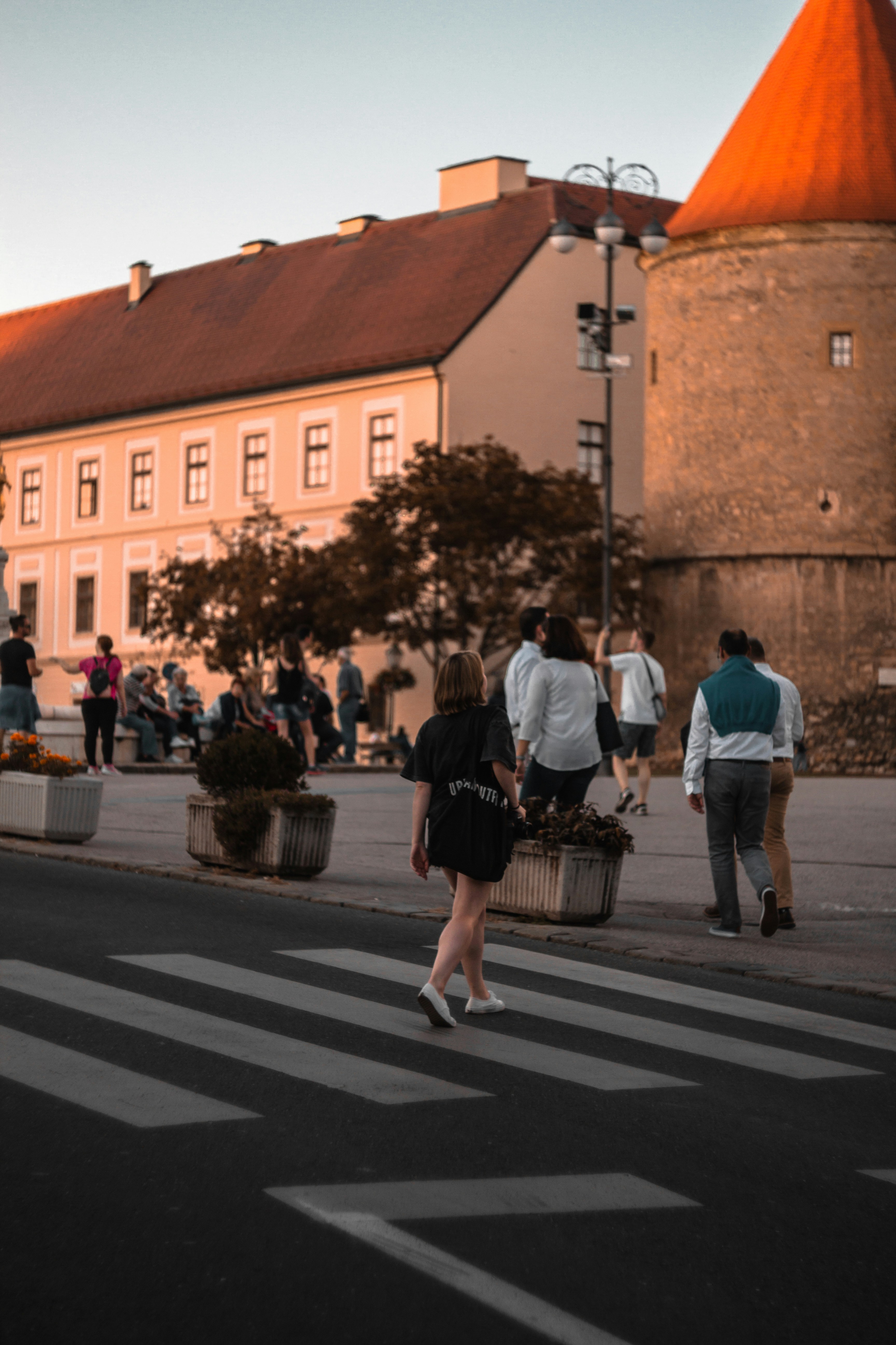 people walking on pedestrian lane during daytime
